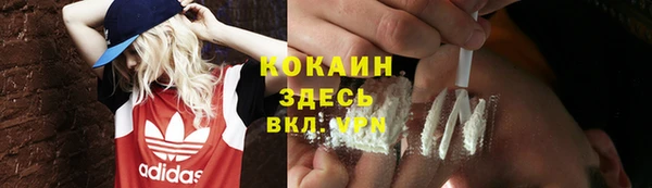 твердый Володарск