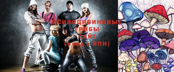 твердый Володарск