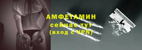 твердый Володарск
