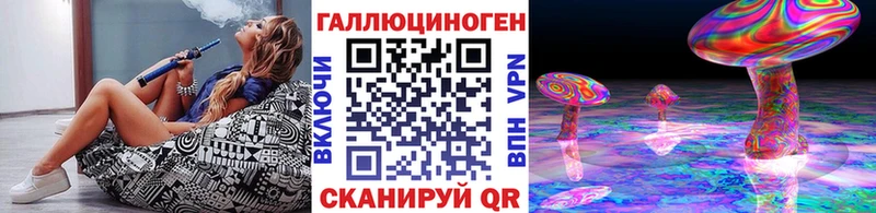 Псилоцибиновые грибы GOLDEN TEACHER Чернушка